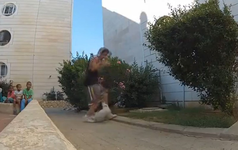 CEL MAI DUR VIDEO! Dacă aveţi CĂŢEI ACASĂ NU VĂ UITAŢI! Ce îi face TIPUL ĂSTA PATRUPEDULUI ESTE HALUCINANT! 