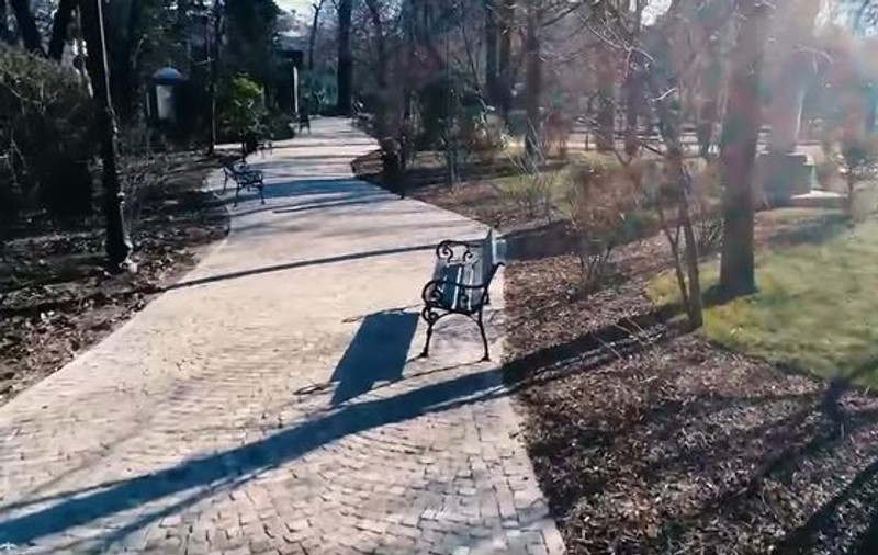 Parcul Grădina Icoanei din București s-a redeschis pentru public. Cum arată după lucrările de amenajare