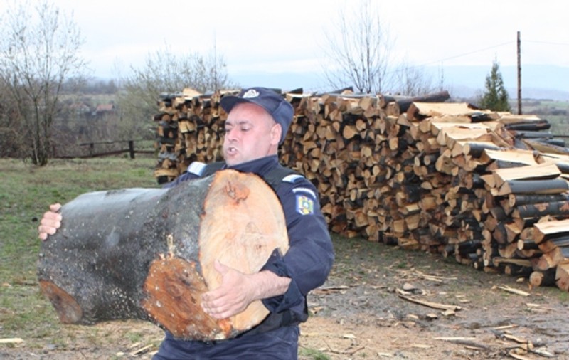 Hoţii care îi ies în cale au motive să se teamă! Jandarmul Hercule se antrenează cu buşteni de sute de kilograme!