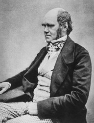 Charles Darwin, naturalist britanic
