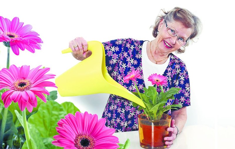 Învaţă cum să îngrijeşti plantele în sezonul rece