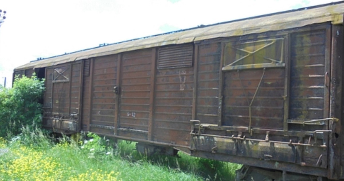 Vagon vechi CFR Marfă, inconjurat de iarbă verde, scos la licitație