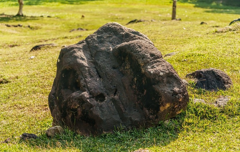 Un bolovan de peste 10 kilograme, folosit timp de decenii ca opritor de ușă într-o fermă din Michigan, s-a dovedit a fi un meteorit rar, evaluat la aproximativ 100.000 de dolari. 