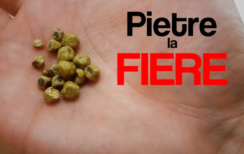 CUM ÎȚI DAI SEAMA CĂ AI PIETRE LA FIERE