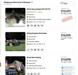 Oferte vânătoare urși România Foto: Captură ecran/ bookyourhunt.com/