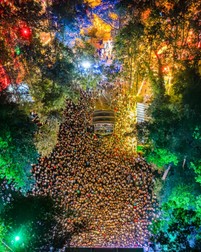 La ediția din 2025, Festivalul CODRU a avut peste 100.000 de participări în cele trei zile
