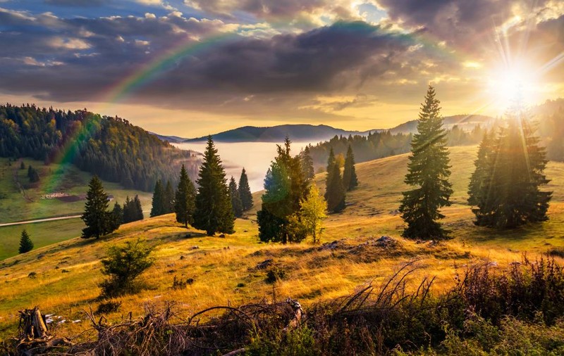 Cum va fi vremea în perioada 8-21 septembrie 2025. Prognoza meteo pentru următoarele două săptămâni