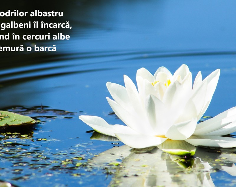 Poezii de Mihai Eminescu - poezii celebre scrise de Eminescu