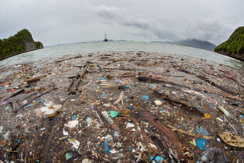 ”Marea insulă de Plastic” din Pacific