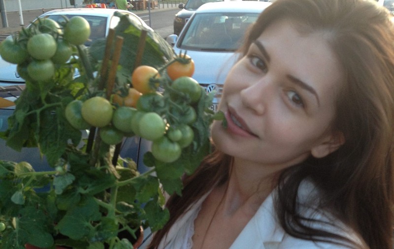 MENIU PERSONALIZAT pentru Monica Gabor: ARSENIC ŞI RĂBDĂRI PRĂJITE, printre "bucatele" sugerate