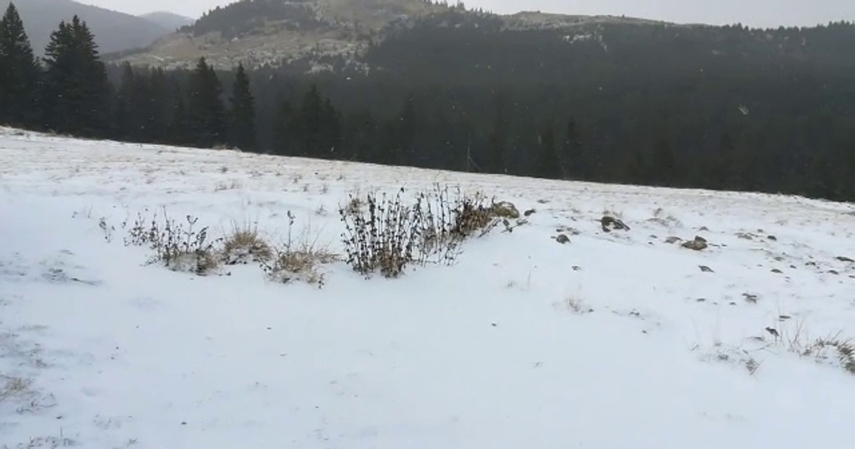 Primele imagini cu ninsoarea ca în miez de iarnă din Munții Bucegi. Stratul de zăpadă are deja câţiva centimetri