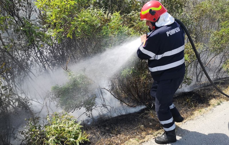 Incendiu de vegetație în Dâmbovița. Șoferii care circulau pe autostrada A1 au sunat la 112