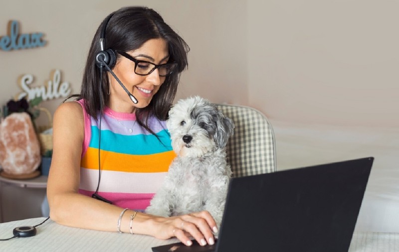 Bichon Havanez – tot ce trebuie să știi, comportament, temperament, hrană