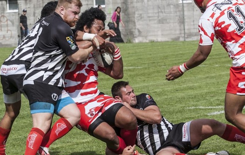 Dinamo, Timișoara Saracens și Știința Baia Mare, în semifinalele Cupei României la rugby