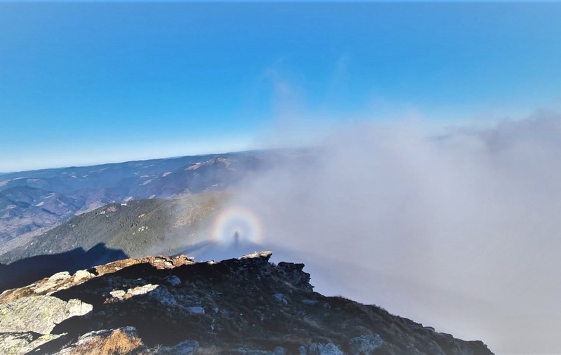 FOTO. Imagini spectaculoase surprinse în Munții Rodnei. Ce este efectul Gloria