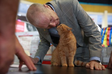 Campionatul Mondial Felin - FIFe World Winner Show. Foto: Eli Driu (Libertatea)