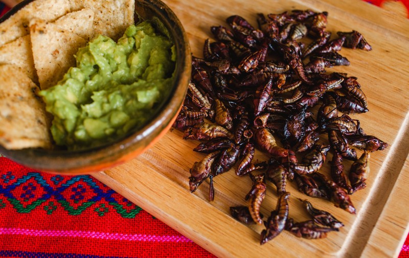 Insecte comestibile promovate ca „alternative la carne”