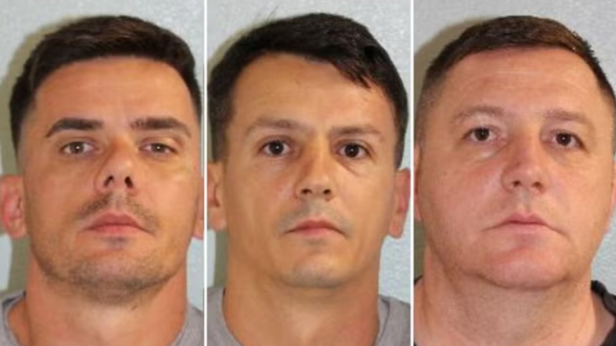 Imagini tip portret cu trei bărbați bruneți