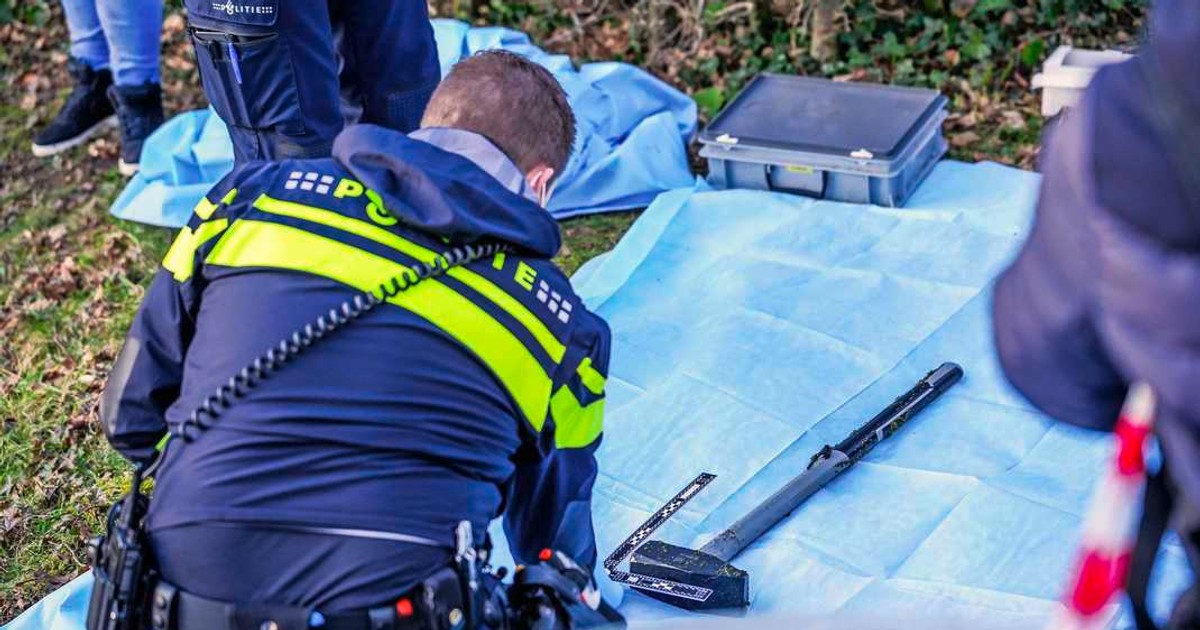 Barosul recuperat de poliția olandeză după furtul comorilor dacice