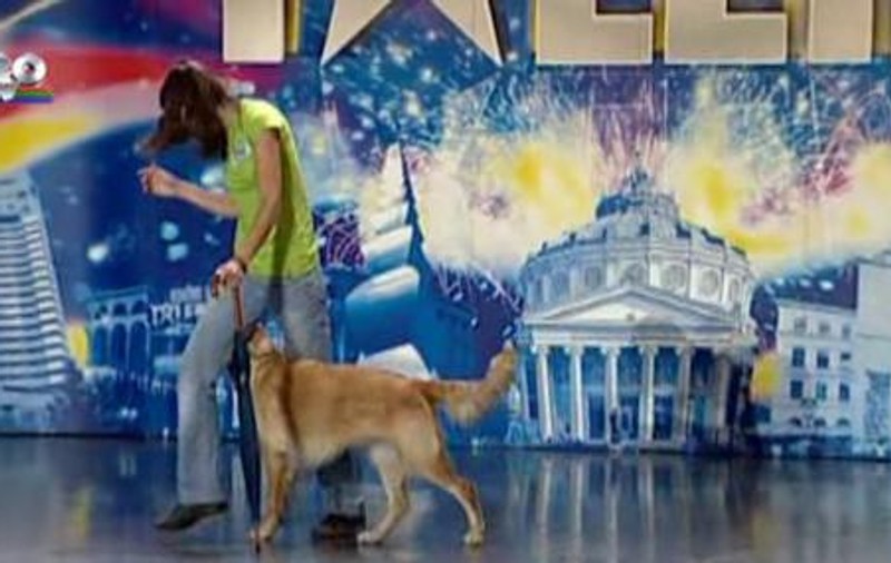 Video | Vezi cine se va lupta în semifinalele emisiunii "Românii au talent"