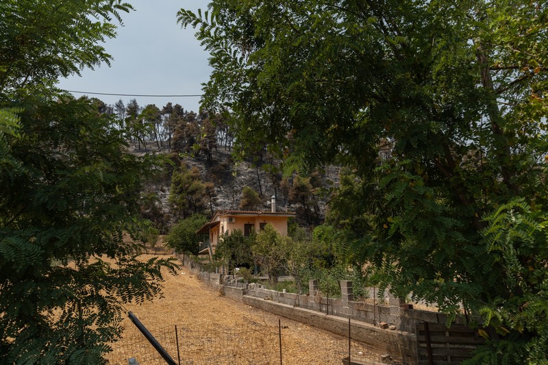 Sate înşirate de pe pe culmile cândva împădurite, acum carbonizate
