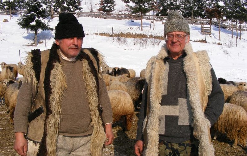 Ciobanii din zona Humorului, mândri că finanţatorul Stelei îi laudă