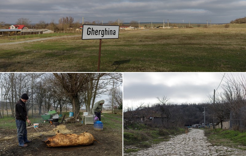 Românii au repopulat un cătun aproape părăsit de tătari. Acum, în satul Gherghina se taie porcul de Ignat și se ține Crăciunul