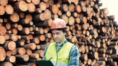 Worker,In,Helmet,Counts,Wood,Lumber