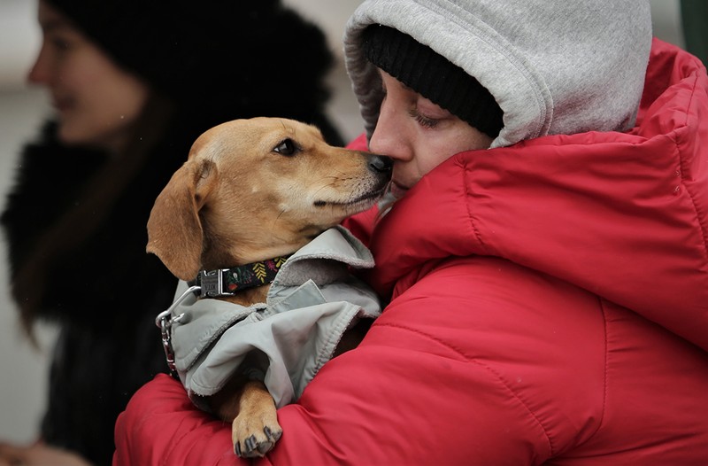 Pentru animalele de companie ale refugiaţilor, Asociaţia Save the Dogs din Cernavodă a adus în vamă cuşti de transport şi mâncare
