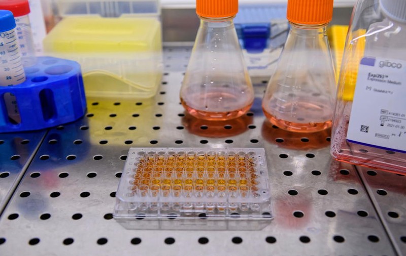 Creştere-record a cazurilor de coronavirus la nivel mondial, în ultimele 24 de ore. Cifrele anunțate de OMS