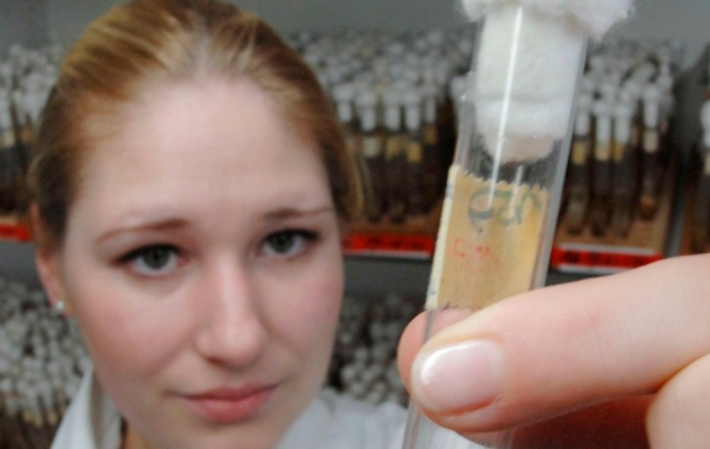 O nouă bacterie, imună la antibiotice, se răspândeşte în lume