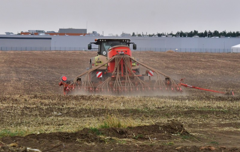 România a ajuns cel mai mare exportator de grâu din Uniunea Europeană. Experții cred că e vorba de grâu ucrainean, agricultorii acuză distrugerea zootehniei