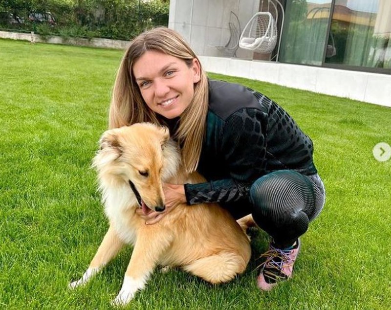 Cât costă o noapte de cazare la hotelurile deținute de Simona Halep, Andreea Bănică și Cristi Borcea. Oferă servicii de lux turiștilor pe litoralul românesc