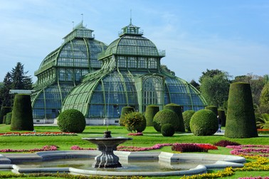 Serele de palmieri de la Schonbrunn