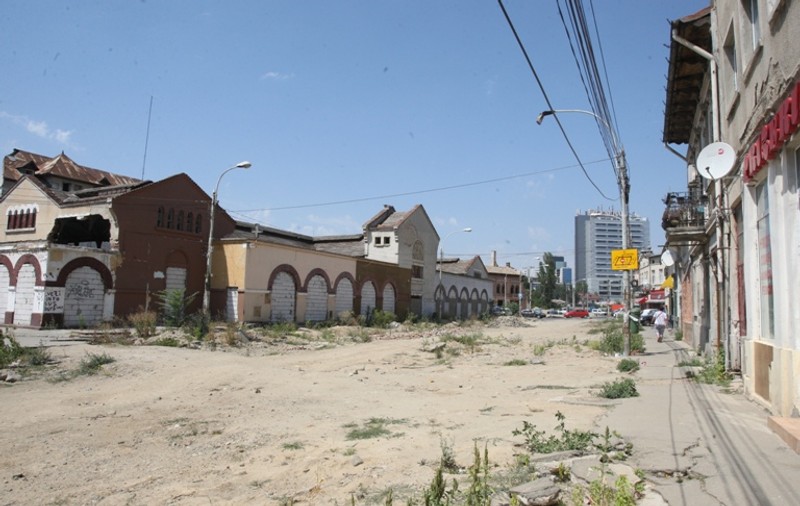 BURUIENI cât casa ÎN LOCUL UNUI BULEVARD DIN CAPITALĂ