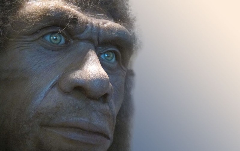 Cum arătau neanderthalienii? ADN-ul dezvăluie secrete despre cea mai apropiată rudă a omului modern