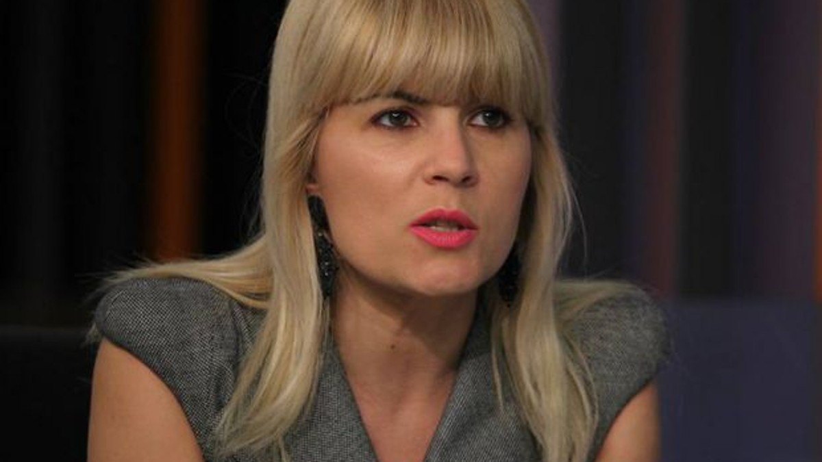 Elena Udrea se retrage din politică