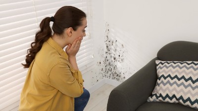 De ce apare mucegai pe pereți și cum să-l previi – O femeie, îmbrăcată cu o cămasă galbenă, se uită șocată la muceiagul apărut pe perete, într-un colț al camerei, lângă canapea