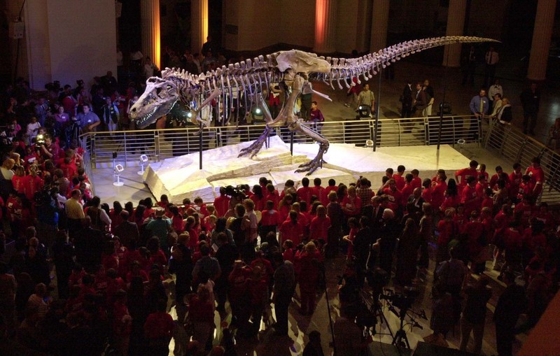 Sue, considerat unul dintre cele mai mari și bine păstrate schelete de tiranozaur este dezvelit pentru prima dată la Chicago Field Museum în 16 mai 2000. Foto: Profimedia