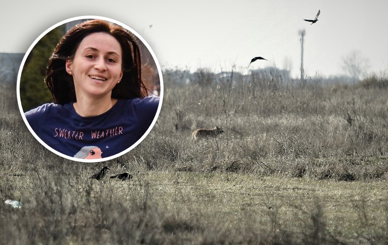 Clasare în cazul Anei Oroş, femeia ucisă de câini lângă Lacul Morii din Bucureşti. „Fapta nu e prevăzută de legea penală”, deşi a existat un „mediu propice haitei de câini”, spun magistraţii 