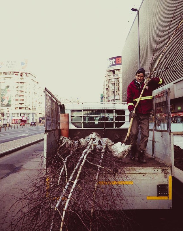 Primăria Sectorului 3, amendată de Primăria Capitalei pentru lucrările din Piața Unirii. Trebuie să readucă zona la „starea inițială”