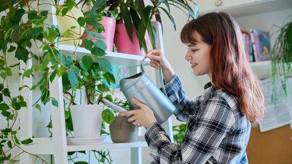 Cum îți dai seama dacă ai udat prea mult sau prea puțin o plantă și cum salvezi rădăcinile. Sursă foto: Shutterstock