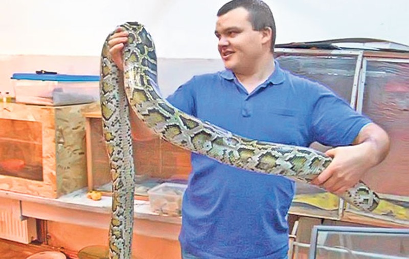 Trăieşte înconjurat de şerpi şi păianjeni! Ai avea curaj să faci aşa ceva? | FOTO