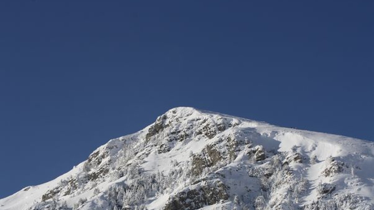 Arhiva foto