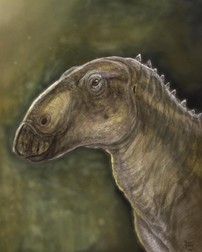 Reconstrucție artistică a dinozaurului Kryptohadros kallaiae Foto: Facebook/ Geoparcul Internațional U N E S C O Țara Hațegului