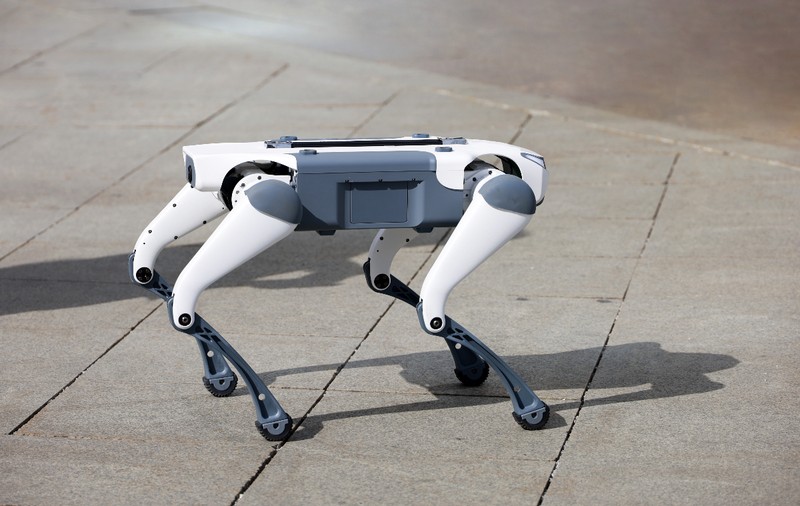 China trimite câini roboți pe străzi care detectează parcări ilegale, filmează infracțiuni și le vorbește trecătorilor