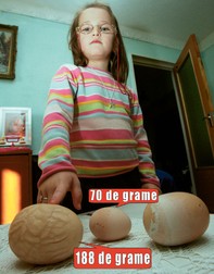 Arhiva foto
