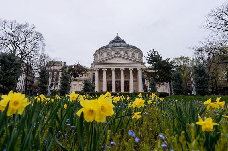 Ateneul Român / FOTO: Hepta