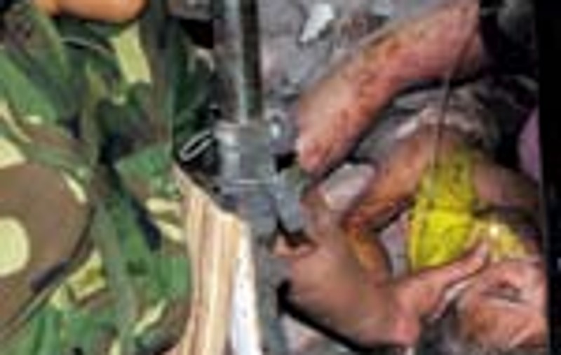 A supravietuit doua zile sub cadavrele parintilor 
