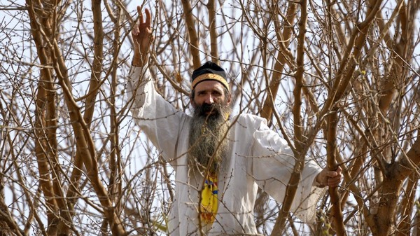 Protestatarul Cezar Avrămuță, cunoscut ca “Stegarul Dac”, într-un copac din curtea Arestului Central al Capitalei. Fotografie de arhivă: Hepta